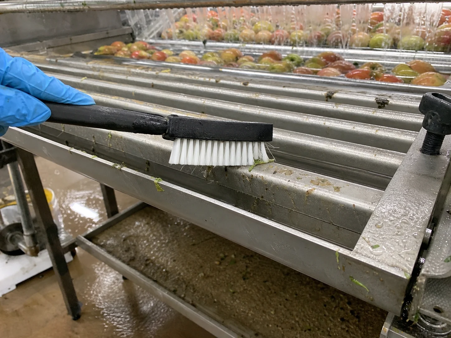 Fruit and Vegetable Washing Line Soil Removal