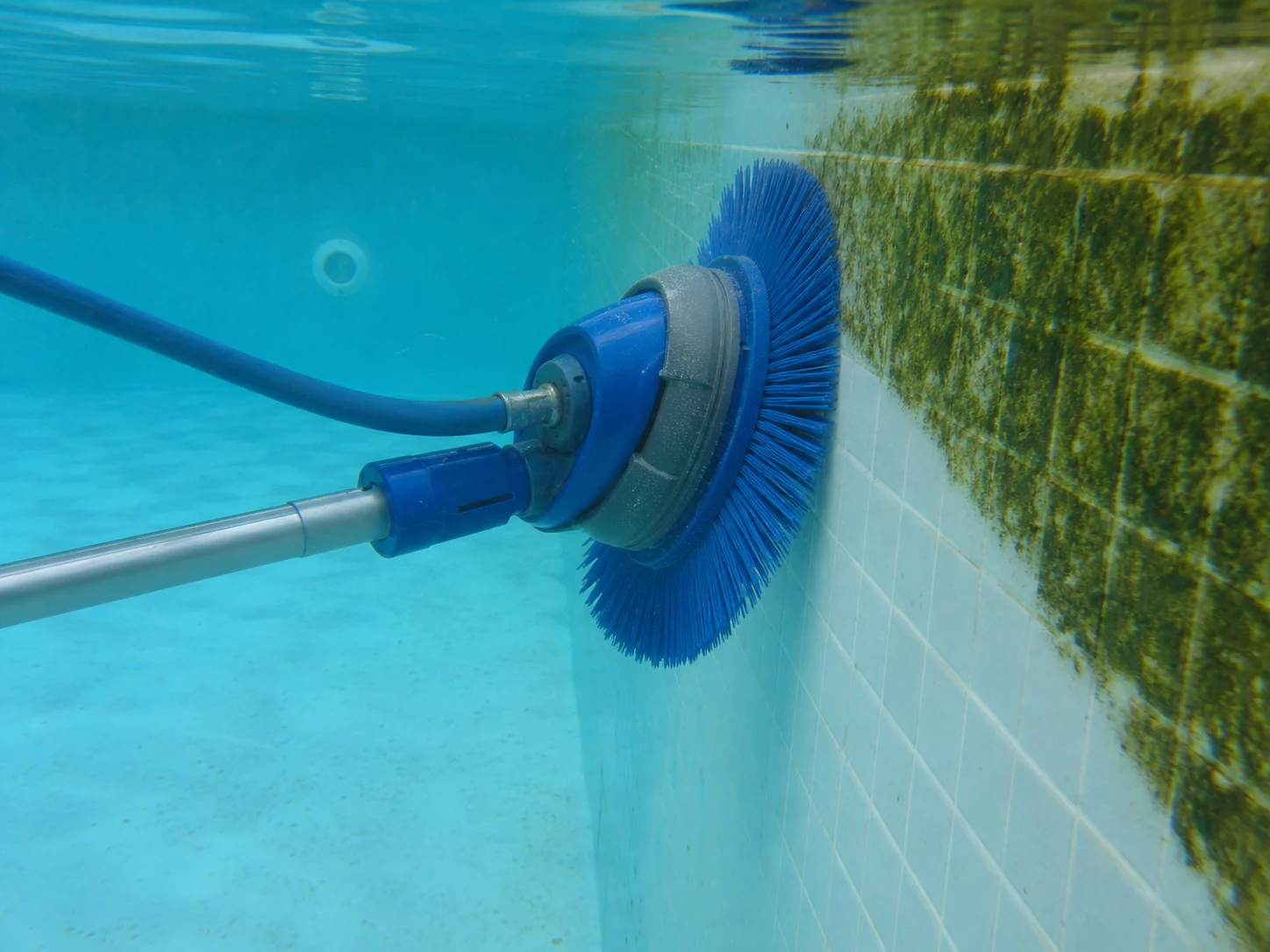 Swimming Pool Wall Algae Cleaning