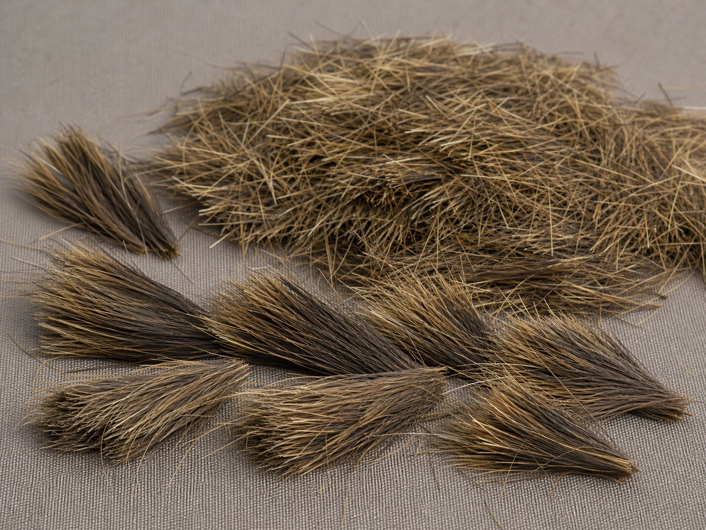 Boar Bristle
