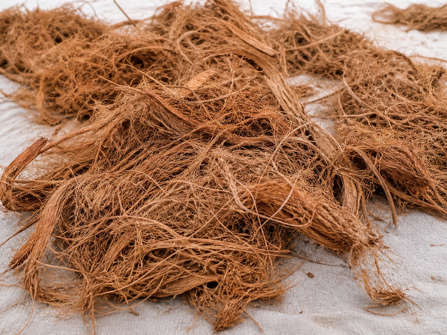 Coconut Coir Fiber