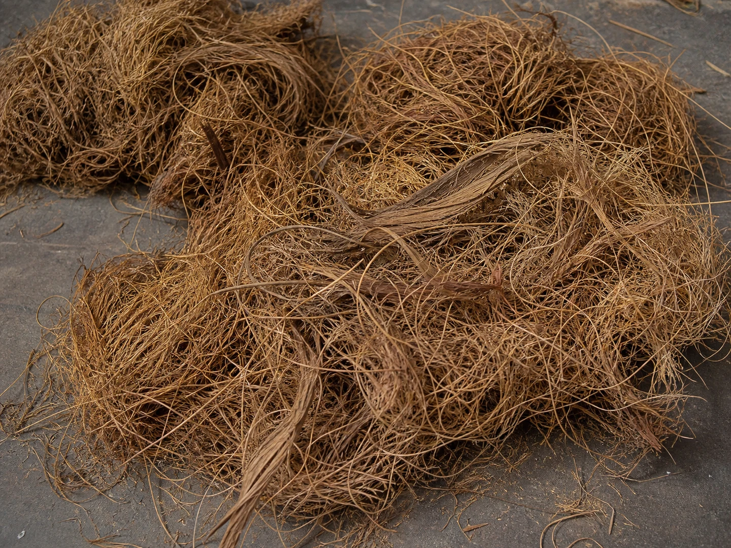 Mountain Palm Fiber