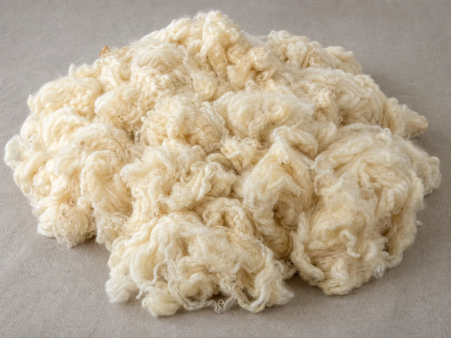 Wool